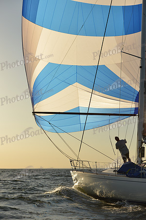 2015 Vineyard Race C 798