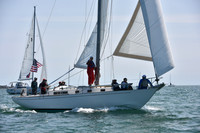 2019 Figawi_0239