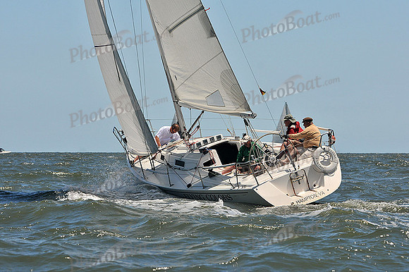2014 Southern Bay Race Week D 1111