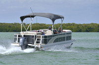 2019 Feb 10 Tampa Bay B_0416