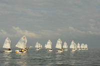2014 Valentines Regatta C 265