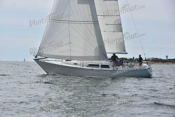 2019 Around Marthas Vineyard A_1349