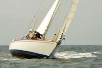2015 Vineyard Race A 302