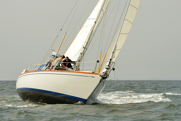 2015 Vineyard Race A 302