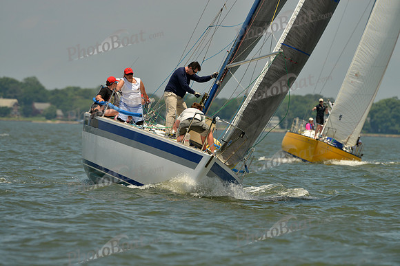 2016 Southern Bay Race Week F_0901