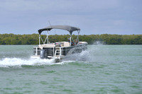 2019 Feb 10 Tampa Bay B_0419