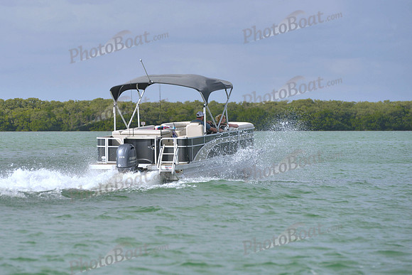 2019 Feb 10 Tampa Bay B_0419