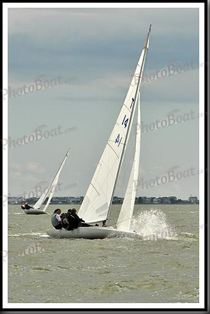 proof_2010_EScows_B 819
