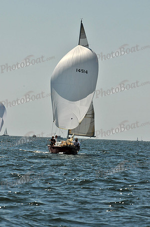 2010 Leukemia Cup B 729