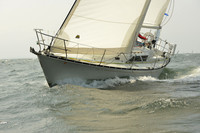 2015 Vineyard Race A 586