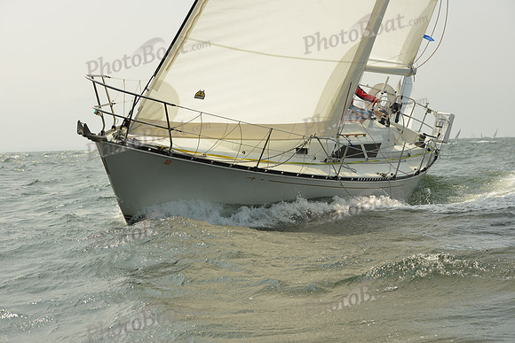 2015 Vineyard Race A 586