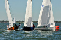 2012 Thistle Midwinters A 347