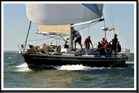 proof_2010_Vineyard_Race_1344