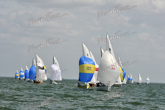 2012 Thistle Midwinters B 1394