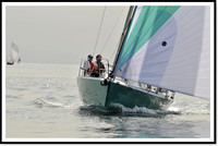 proof_2010 Block Island Race 253