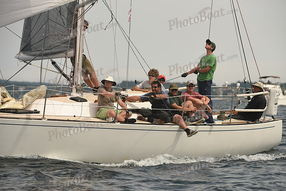 2016 Chester Race Week C_1565