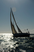 2012 Newport Bermuda 3336