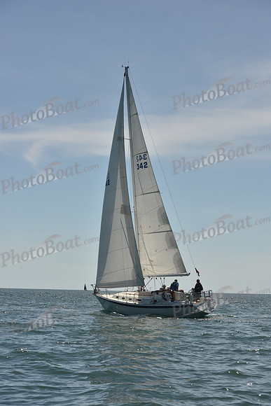 2024 Figawi 0562