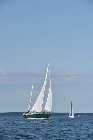 2019 Around Marthas Vineyard A_1127