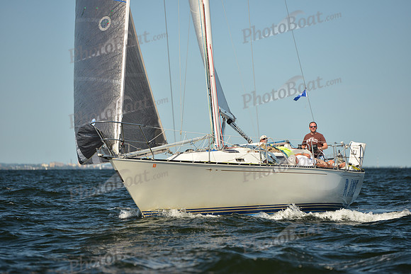 2015 Vineyard Race C 542