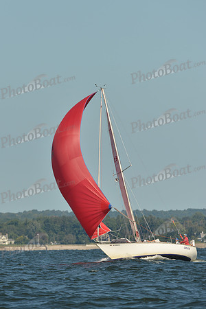 2015 Vineyard Race C 279
