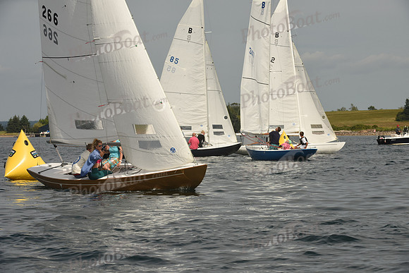 2016 Chester Race Week F_0311