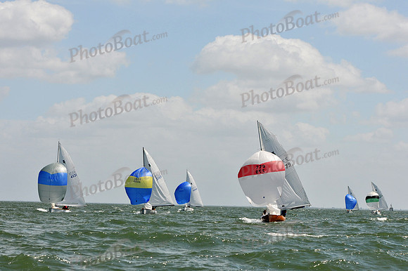 2012 Thistle Midwinters B 1289