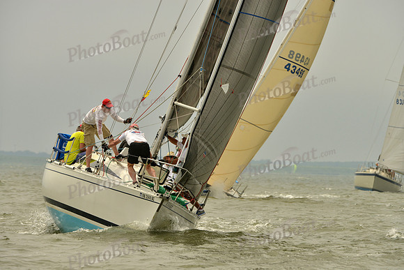 2016 Southern Bay Race Week A_1072