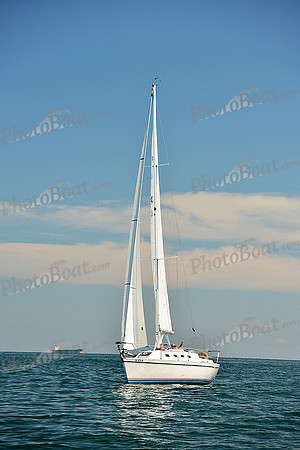 2015 Cape Charles Cup C 361