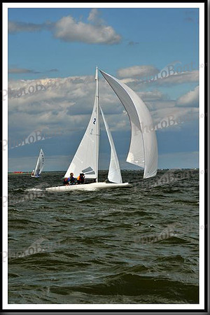 proof_2010_EScows_B 1239