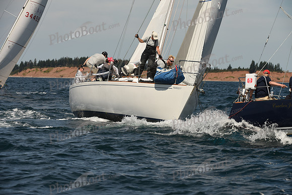 2016 Chester Race Week A_0259