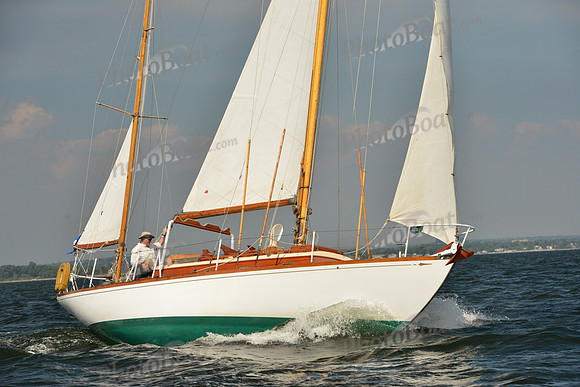 2015 IHYC Classic Yacht Regatta 484