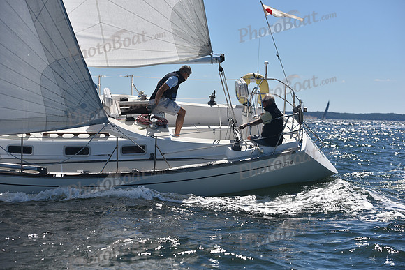 2022 Vineyard Race A_0248