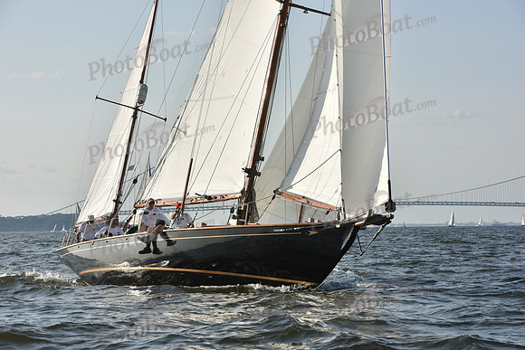 2019 ALIR_1540