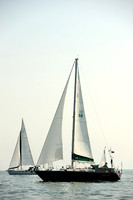 2014 Cape Charles Cup A 215