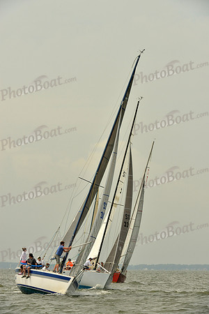 2016 Southern Bay Race Week A_0277