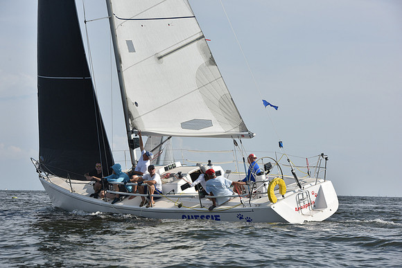 2019 Gov Cup A_1680
