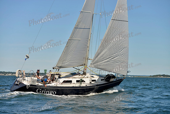 2017 Vineyard Race A_0710