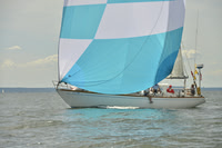 2016 Vineyard Race A_0991