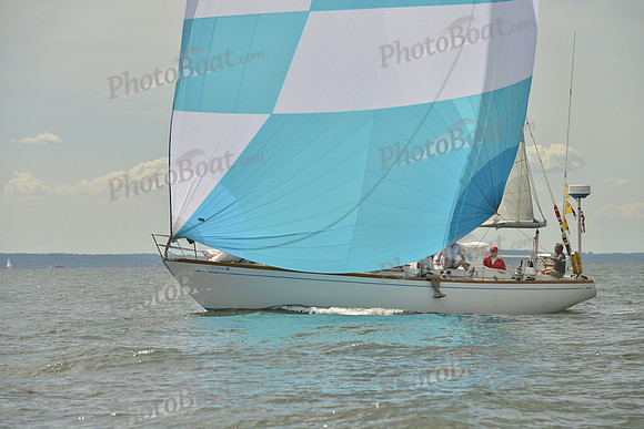 2016 Vineyard Race A_0991