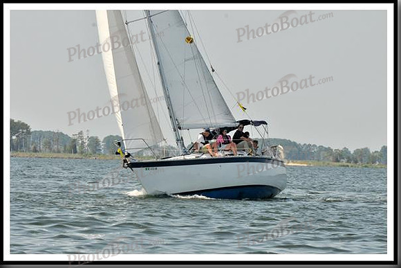 proof_2010 Gov Cup D 1167