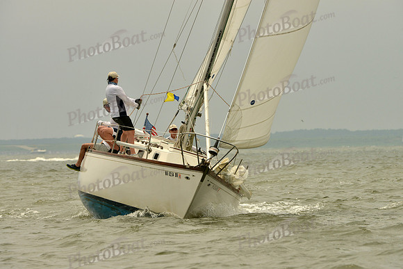 2016 Southern Bay Race Week A_1156