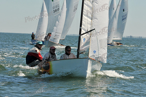 2012 Thistle Midwinters A 665