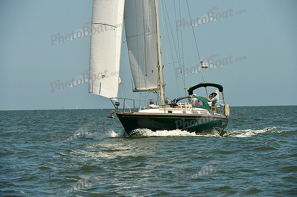 2015 Southern Bay Race Week C 1288