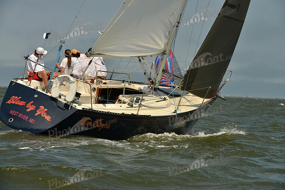 2016 Southern Bay Race Week B_0393