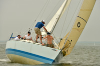 2016 Southern Bay Race Week A_0471