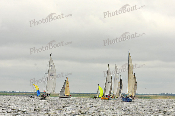 2014 Southern Bay Race Week A 978