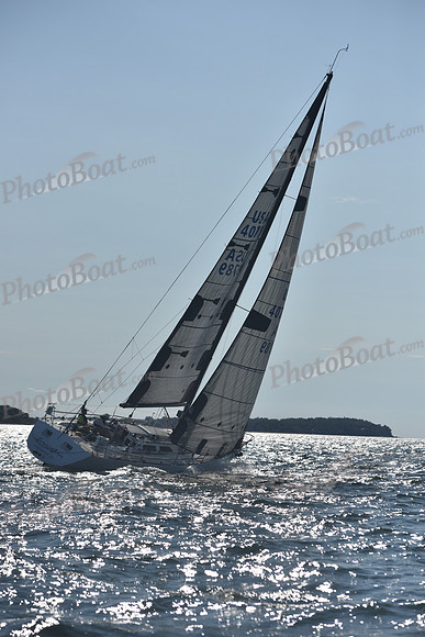 2021 Vineyard Race B 1882