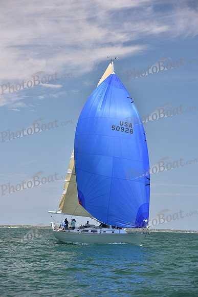 2019 Figawi_1339