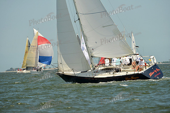 2015 Southern Bay Race Week A 1403